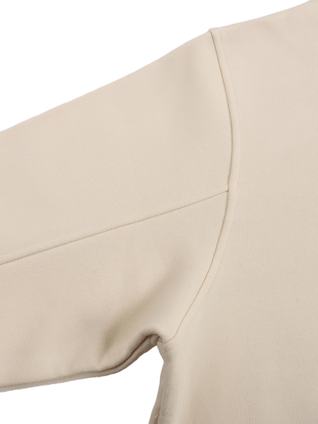 Fleeced High Neck Hoodie – Custom Basics | Tapstitch-4